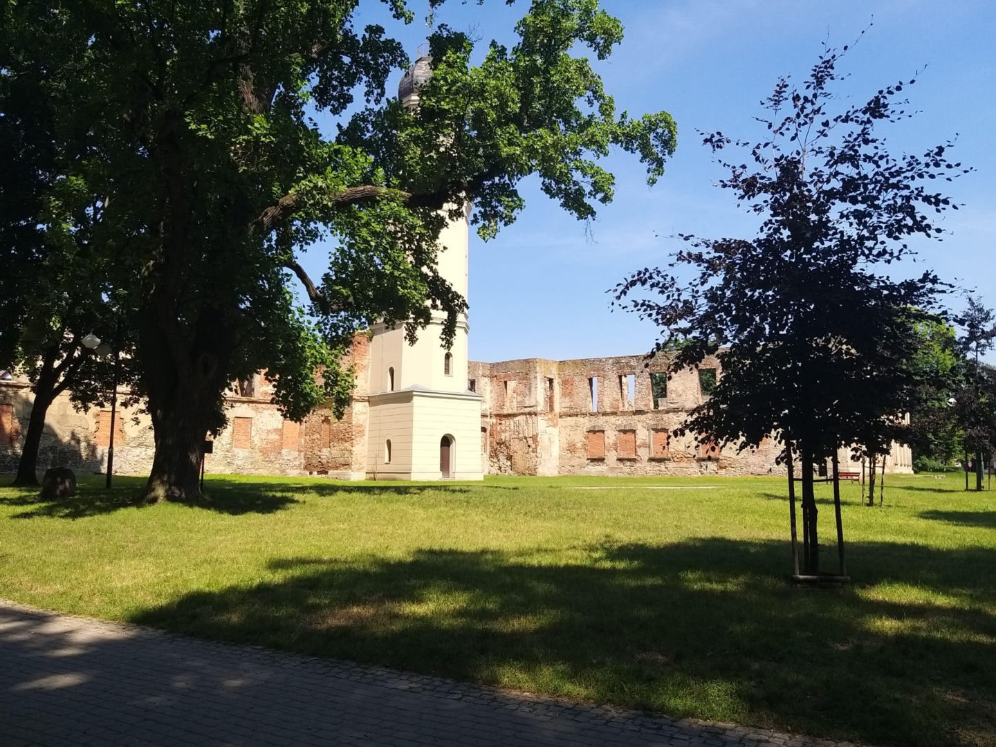 Zamek w Strzelcach Opolskich