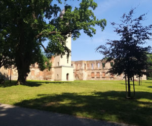 Zamek w Strzelcach Opolskich
