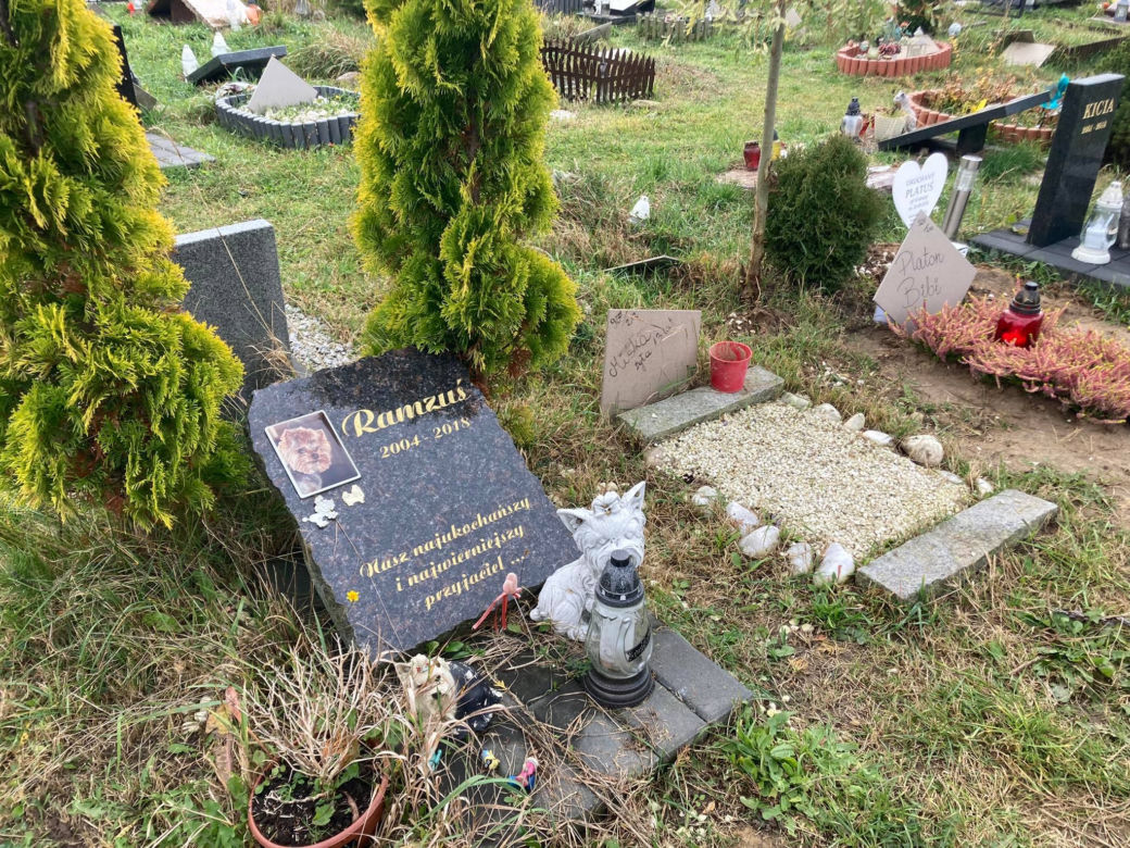 Cmentarz dla zwierząt przy Malowniczej