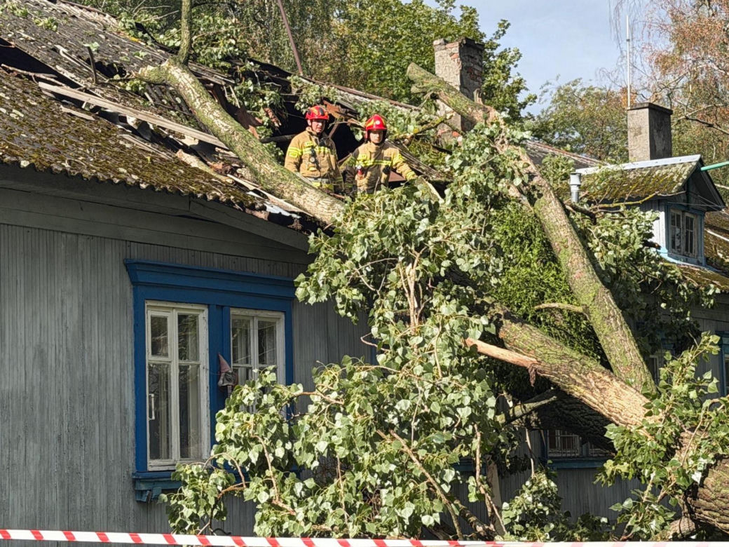 Drzewo runęło na dom na Osiedlu Pryjaźń
