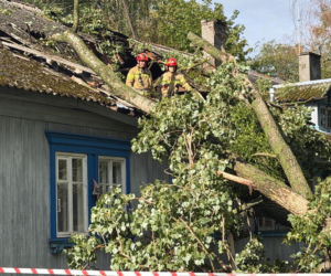 Drzewo runęło na dom na Osiedlu Pryjaźń