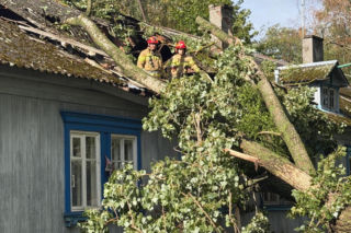 Drzewo runęło na dom na Osiedlu Pryjaźń