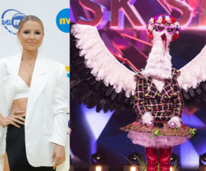 Kto skrywa się pod przebraniami show TVN?