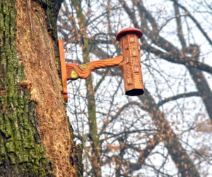 W Parku Kazimierza Wielkiego pojawiły się nowe domki dla owadów
