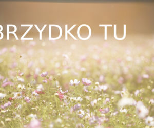Tego na pewno nie usłyszysz w Rzeszowie!
