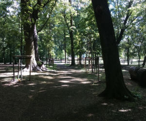 Park Tysiąclecia w Toruniu czekają spore zmiany