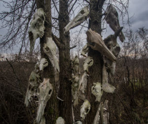 Przerażający totem pod Warszawą