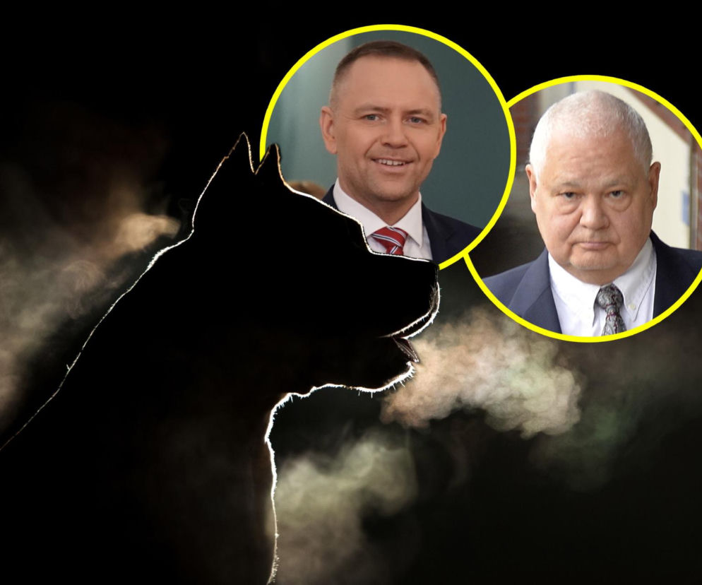 Nawrocki, Glapiński