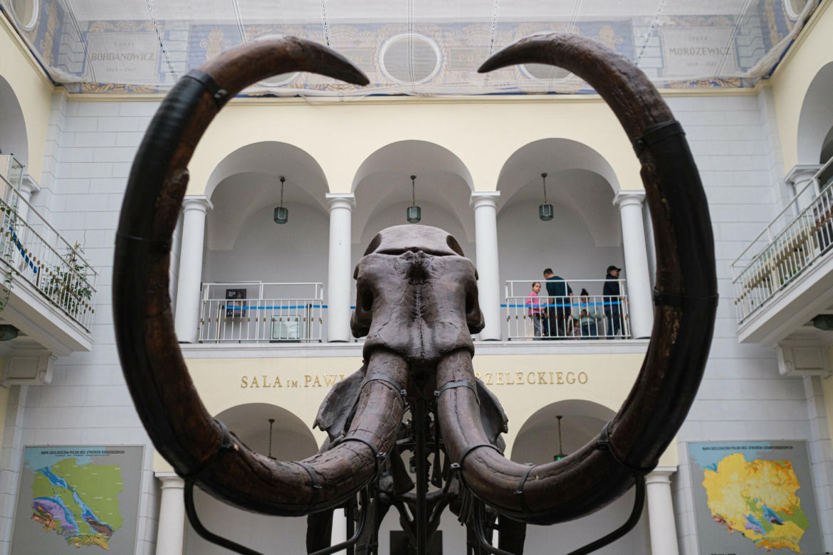 W tym warszawskim muzeum zrobisz sobie selfie z dinozaurem. Wstęp nic nie kosztuje!