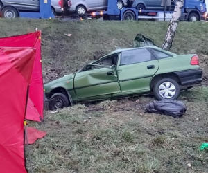 Horodnianka. Tragiczny wypadek na DK 8. NIE ŻYJE kierowca opla [ZDJĘCIA]