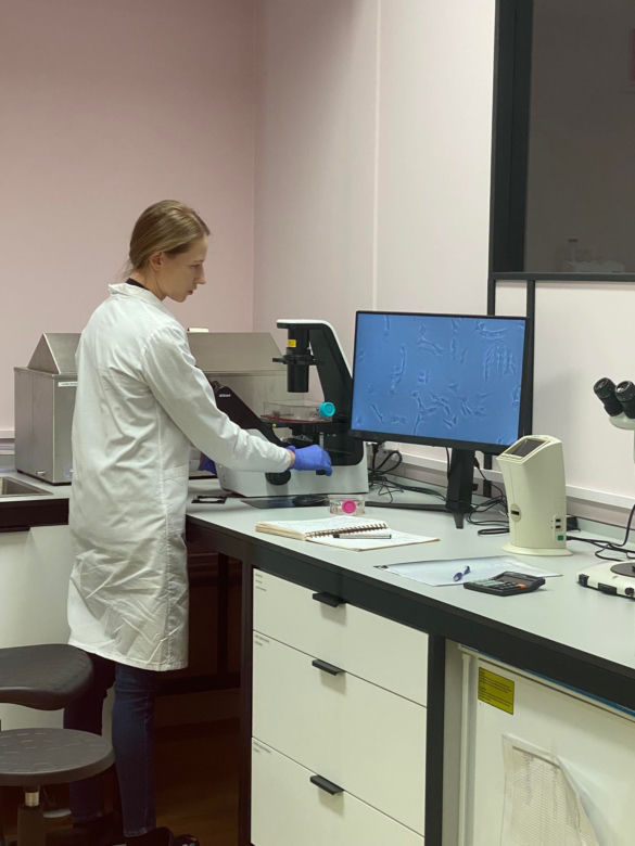LabFarm pracuje nad hodowlą pierwszego polskiego mięsa komórkowego