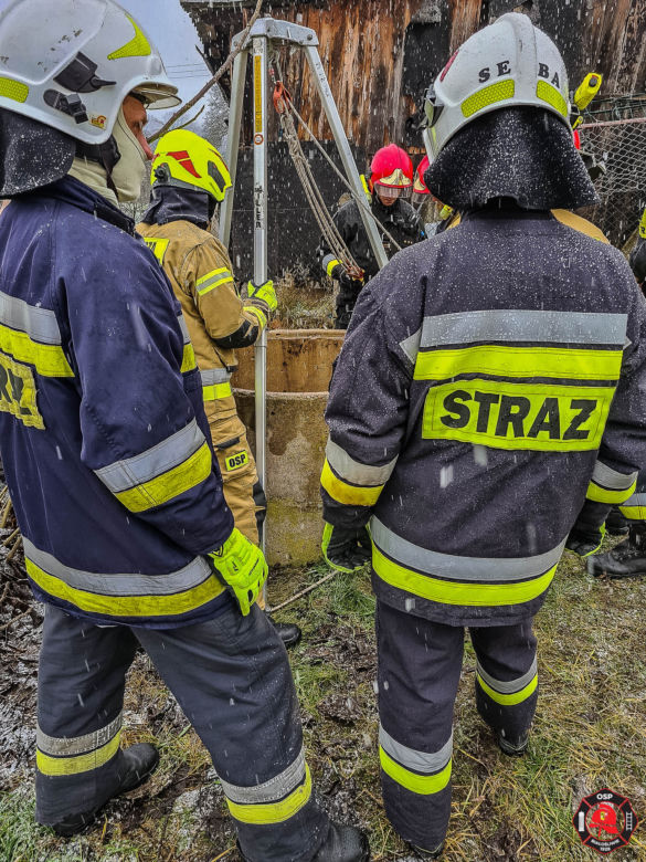Psiak wpadł do studni