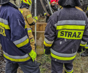 Psiak wpadł do studni