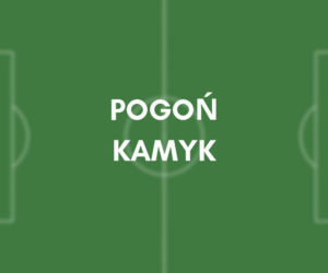 Pogoń