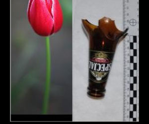 Dzień Kobiet w MEMACH