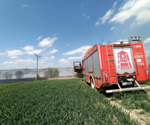 Strażacy uratowali z pożaru dwie malutkie sarenki