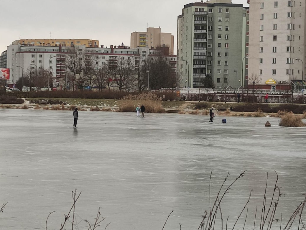 Skrajna nieodpowiedzialność w parku nad Balatonem