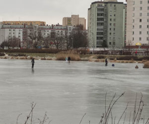Skrajna nieodpowiedzialność w parku nad Balatonem