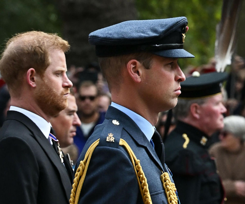 Książę Harry i książę William z profilu podczas oficjalnej uroczystości. O kulisach ich konfliktu przeczytasz na Eska.
