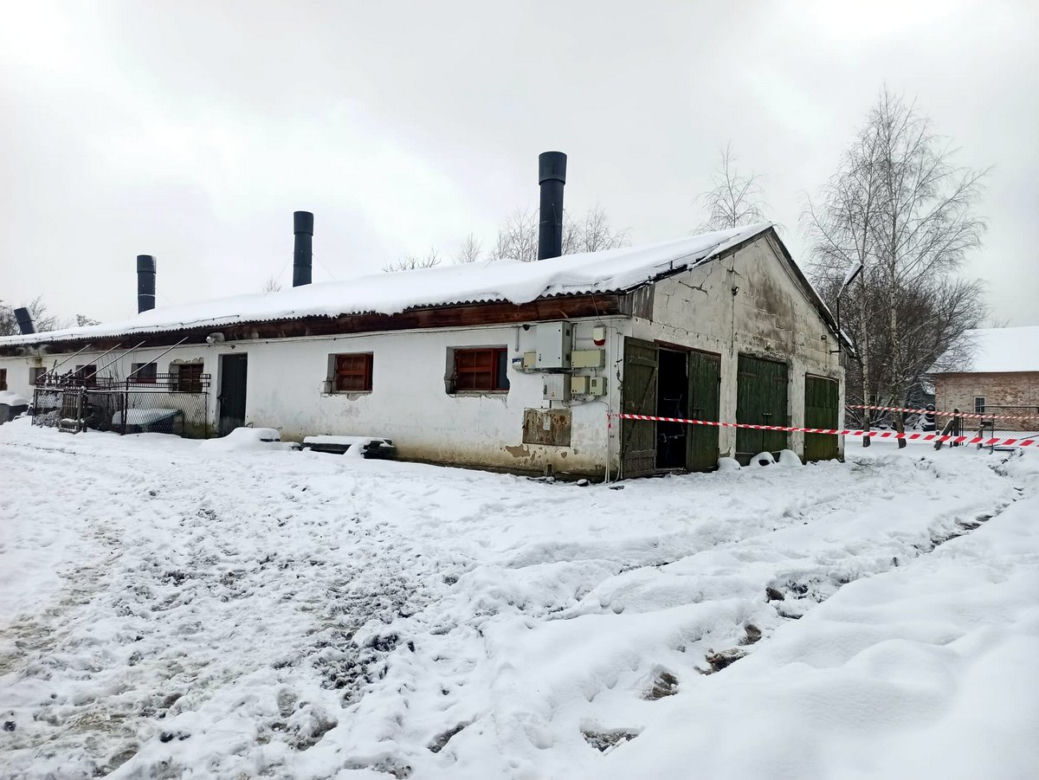 Zawalił się dach budynku gospodarczego w Lipnicy. Zginęły zwierzęta!