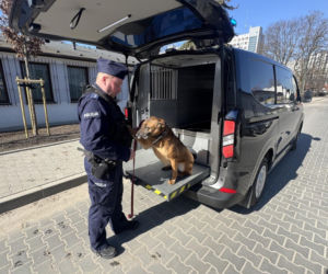 Nowe samochody do transportu psów służbowych ma małopolska policja.  Jeden trafił do Nowego Sącza
