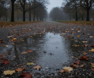 Weekend w Bydgoszczy ma jeden słabszy moment. Prognoza pokazuje, kiedy spodziewać się deszczu