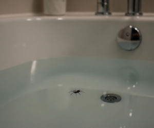 Kasia Tusk i jej domowy horror. Co takiego pływało w jej wannie?