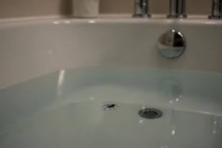 Kasia Tusk i jej domowy horror. Co takiego pływało w jej wannie?