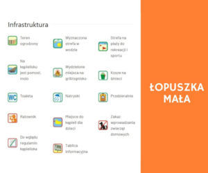 Podkarpackie. Atrakcje na kąpieliskach [Przegląd]