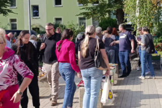 Pchli targ na Pogodnie