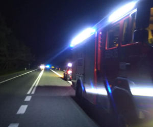 Motocyklista zderzył się z łosiem 