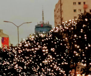 Iluminacje świąteczne w Szczecinie