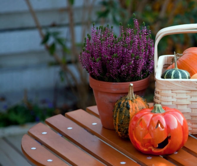 Dekoracje z dyni na Halloween