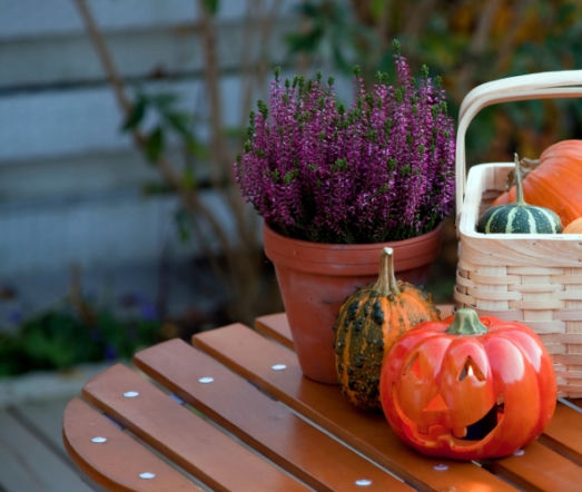 Dekoracje z dyni na Halloween