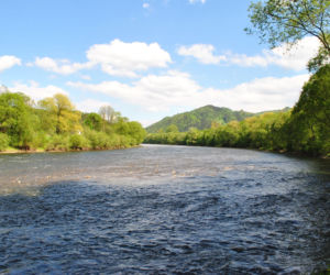 To najlepsze miejsce na majowy weekend w woj. małopolskim według AI. Wygląda jak z pocztówki!