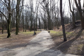 Chcą alei Freddiego Mercury`ego w Warszawie