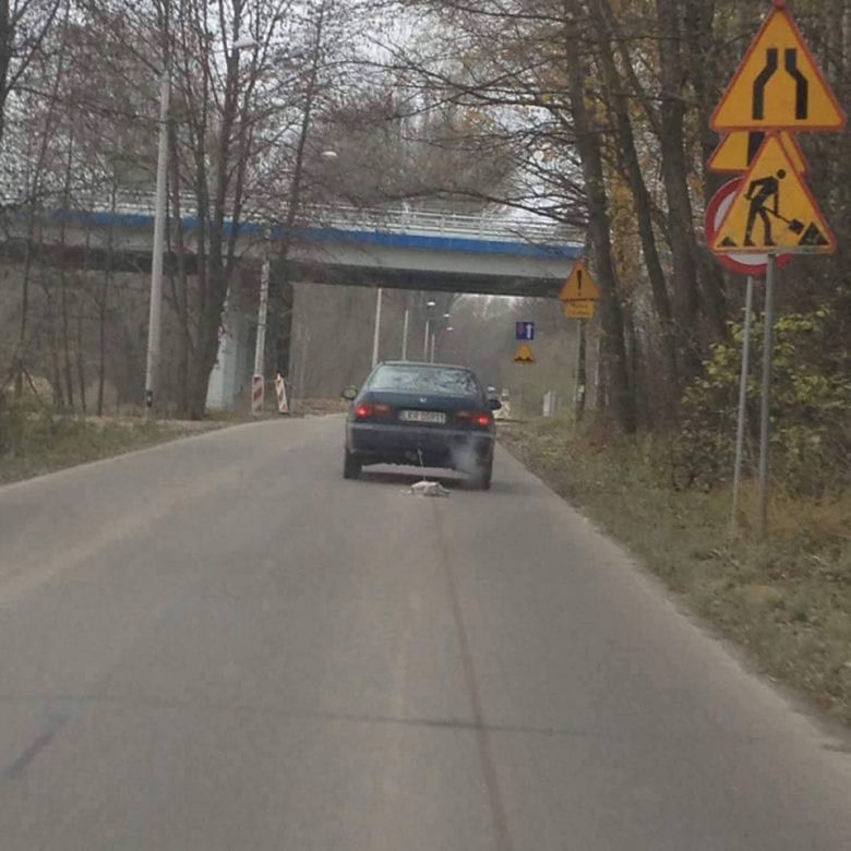 Przywiązał psa do samochodu i ciągnął przez 2 km