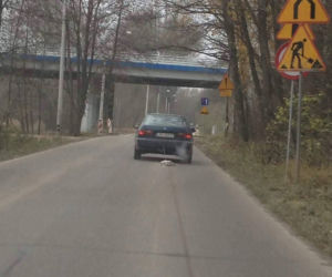 Przywiązał psa do samochodu i ciągnął przez 2 km