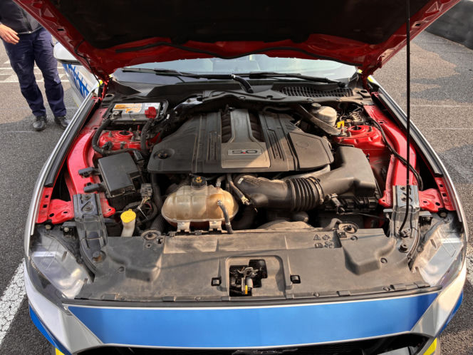 Ford Mustang w służbie radomskiej policji