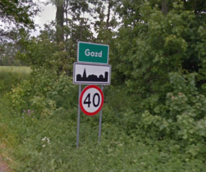 Gozd