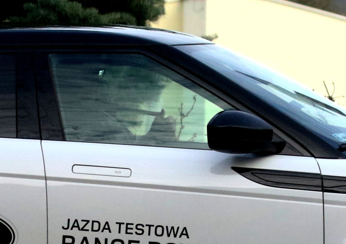 Czesław Michniewicza przegląda szalenie drogie auta. Został przyłapany w wielkiej furze, ale zakupy musi taszczyć