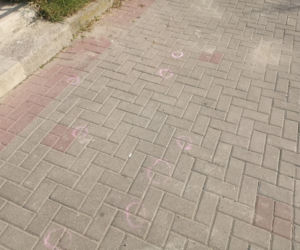 Akcja Pety na ziemi w Poznaniu