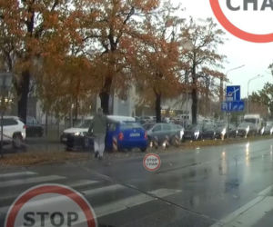 Ominął auto i prawie rozjechał pieszego. Szok na pasach we Wrocławiu! [WIDEO]
