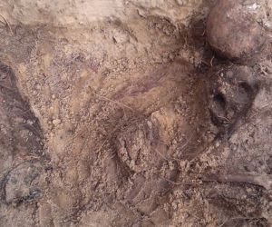 Historyczne znalezisko w warszawskim lesie. Doły śmierci na Białołęce. Wśród ofiar kobieta z długim warkoczem 