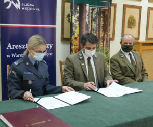 Więźniowie posprzątają lasy. Areszt na Białołęce podpisał umowę z nadleśnictwem