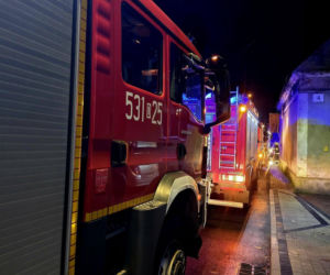 Grębocice. Pies uratował swojego właściciela przed pożarem [ZDJĘCIA]