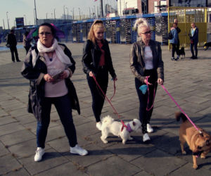 Radosna Parada Psów Adoptowanych przeszła ulicami Bydgoszczy!