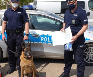Harry, Boss, Taj - psy z bydgoskiej policji przeszły na emeryturę