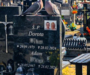 Dwa gołębie na grobie zamordowanych przez córkę rodziców. Ten znak poruszył Ostródę