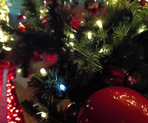 Choinka przed urzędem miasta w Szczecinie